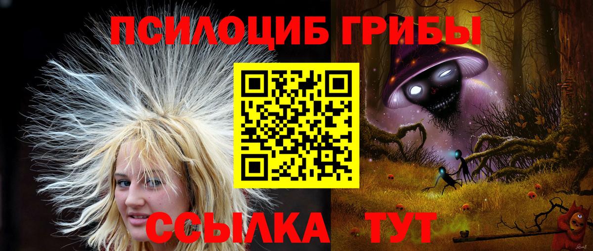 Псилоцибиновые грибы прущие грибы Зерноград