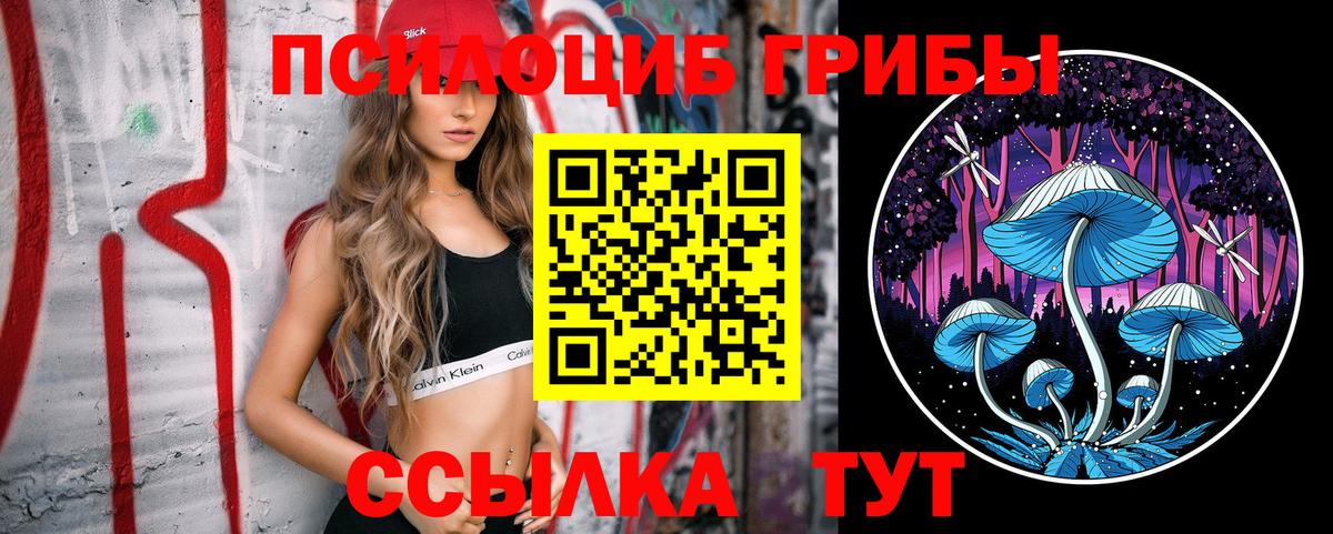 закладка  Галлюциногенные грибы Magic Shrooms  Вход с VPN  Зерноград 